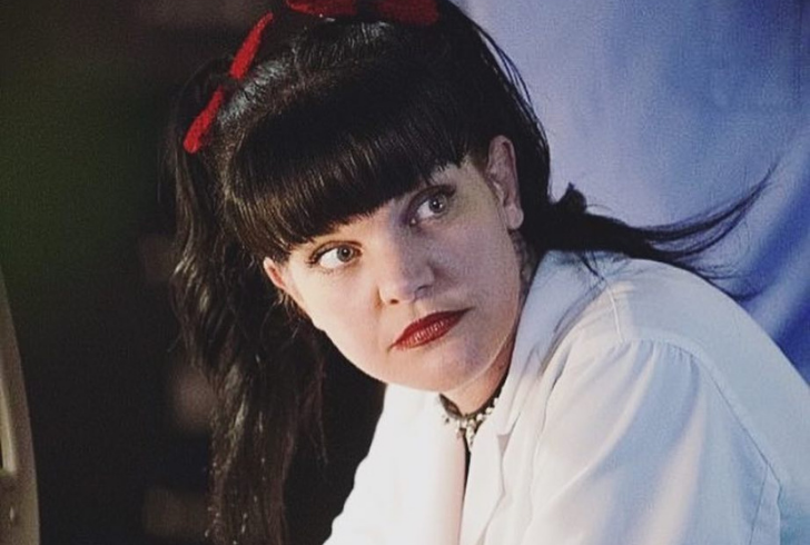 Pauley Perrette portrayal entertained and inspired, challenging perceptions along the way.